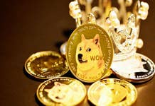 El ‘millonario de Dogecoin’ no ha vendido ni un solo DOGE