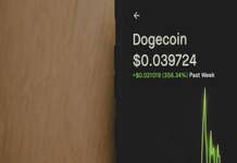 Dogecoin logra capitalización de mercado de 47.000M$
