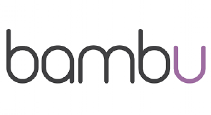 Get To Know Your Benzinga Global Fintech Awards Nominee: Bambu