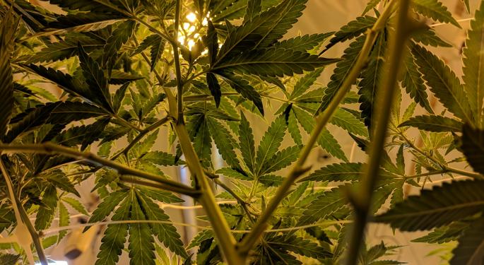 CEO Of Cannabis Brand C3 Industries On Scaling Up And Raising Capital