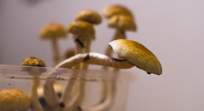 Global Trac Solutions Partners With Minerco For Virtual Psychedelics Conferences