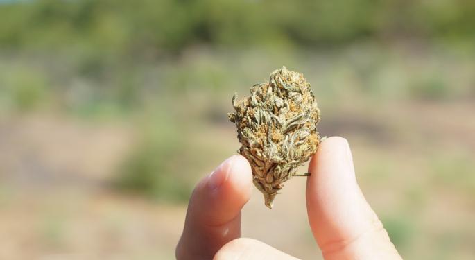 Piper Sandler's Michael Lavery Shares Cannabis Industry Projections, Names 'The Real Key Catalyst To Watch'