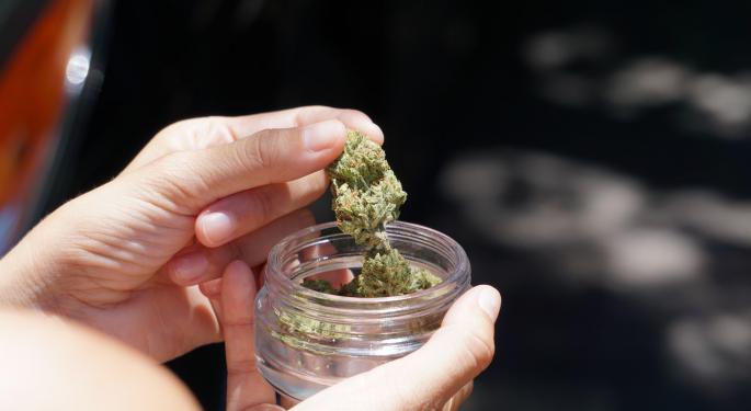 Fiore Cannabis Reports First Quarterly Net Profit, Focuses On U.S. Possible Federal Legalization