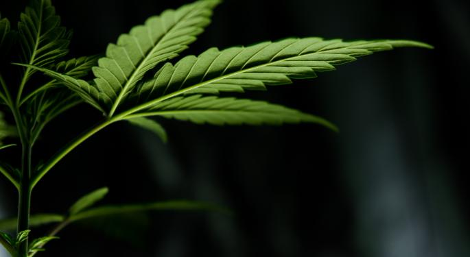 Poll: 69% Of Americans Support Cannabis Legalization
