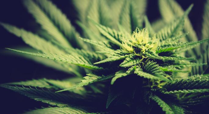 Canada House Clinics Acquires Margaree Medical Cannabis Clinic For Veterans