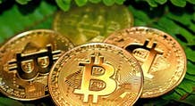 Bitcoin dannoso per l’ambiente? Ark rassicura