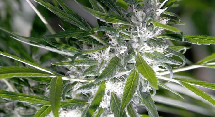 Cannabis Flowers Are Legal In Belgium, And Nobody Noticed
