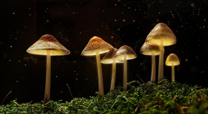 Worthy Or Superfluous? Psychedelics Experts Discuss The Sector's Ongoing Patent Debate