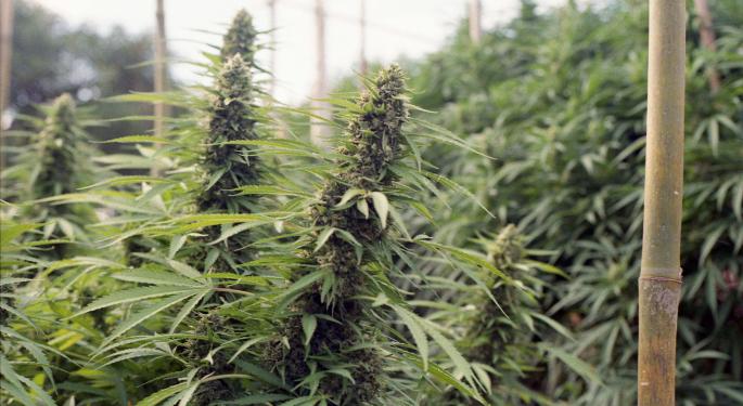 The Week In Cannabis News: Curaleaf Buys Cura Partners, Canopy Buys C3, Organigram Applies For Nasdaq Listing