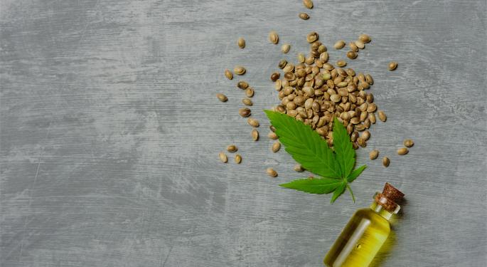 Eating Hemp: Is It Good For Your Health?