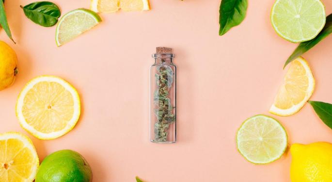 How Keep Your Weed Fresh: 5 Proven Ways