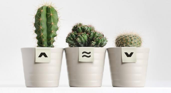 Sativa, Indica And Hybrid Weed: What's The Difference? Which One's Better For You?
