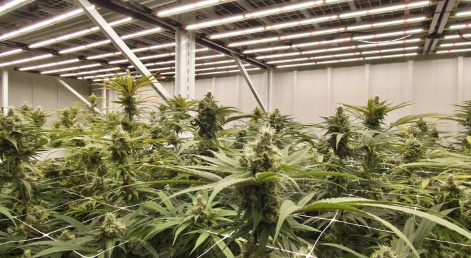 Fluence And Harbor Farmz Install Energy-Efficient LED Lighting