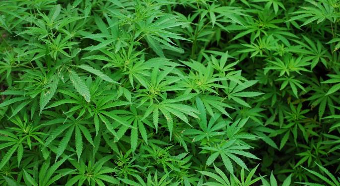 USDA Posts Hemp Rules – Calls For Total THC Testing