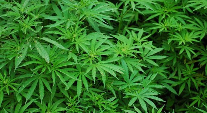 Getting Into The Business Of Medical Marijuana: An Interview With IGC CEO Ram Mukunda