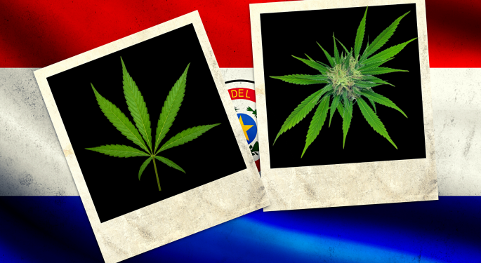 Paraguay To Export Cannabis Oil To USA And Australia