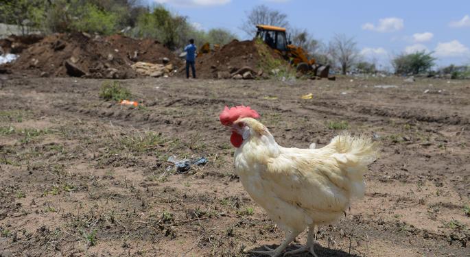 This Stock Is Hitting Record Highs From The Bird Flu Outbreak
