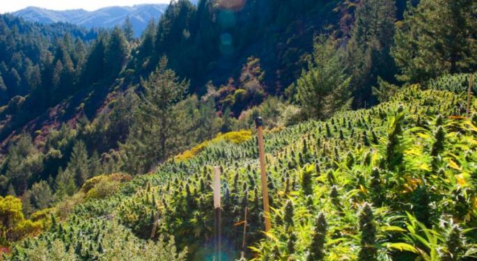 Co-Founder of Flow Cannabis Calls For Tax Revolt In California, Says Regulatory System 'Unworkable'