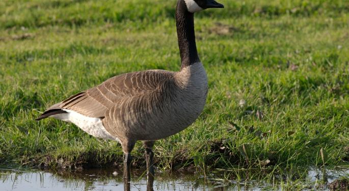 Will Canada Goose Be More Than Outerwear?