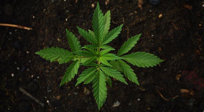 5 Risks Cannabis Investors Need To Understand
