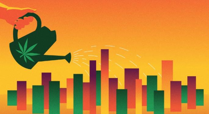 Cannabis Investors Wanted: 10 Tips For Success