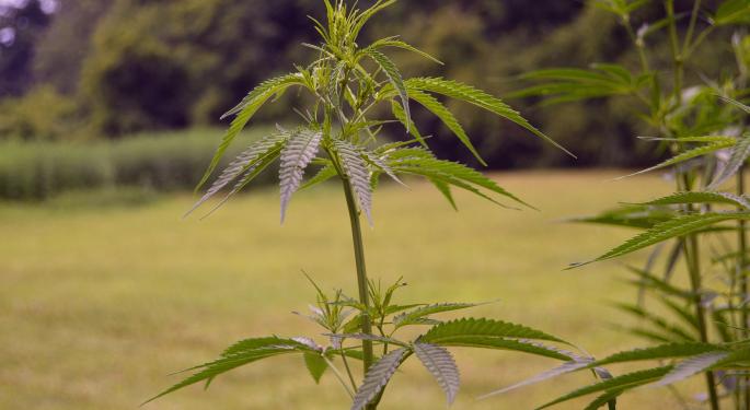 Zimbabwe Uses Prison Property As Test Bed For Industrial Hemp Pilot Program