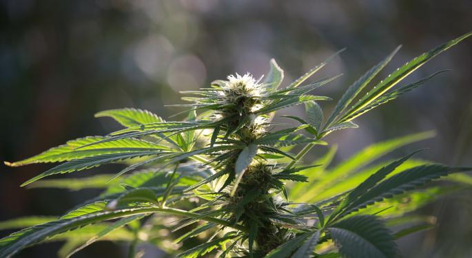 Zynerba Pharmaceuticals Volatile After Epilepsy Study Results