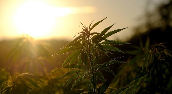 Real Brands Closes Merger With Canadian American Standard Hemp