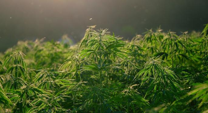 EXCLUSIVE: Jushi Holdings' Andreas Neumann Talks 'ICON: Music Through The Lens' And Challenges Of Cannabis Creativity