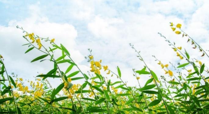 Hemp Update: Transition From 2014 Farm Bill To 2018 Farm Bill