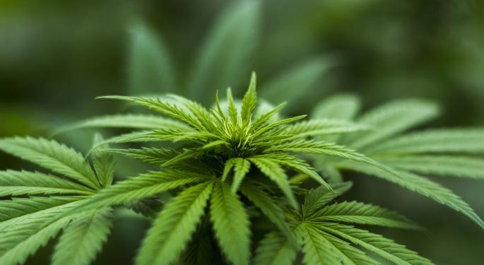 AndCan Index: September Demand Flat For Legal US Cannabis Products