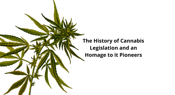 The History Of Cannabis Legislation And An Homage To Its Pioneers