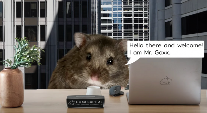 A Farewell To Mr. Goxx, The Hamster That Outperformed Warren Buffett