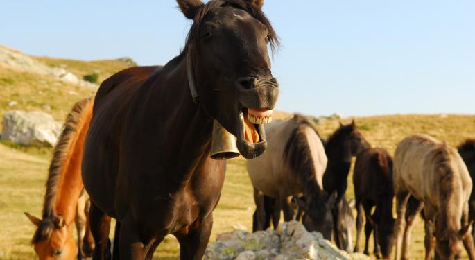 Hempvet Launches 'Safe, Natural' CBD Products For Cats, Horses