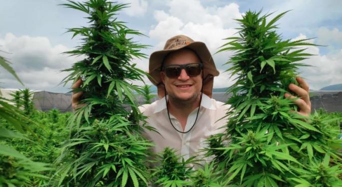 'I'm A Scientific Cultivator': Meet Ignacio Peralta, The First Cannabis Cultivation Post Doctorate In Argentina