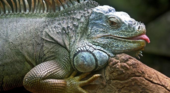 Leapin' Lizards! The Economics Behind DDoS Attacks And The Lizard Squad