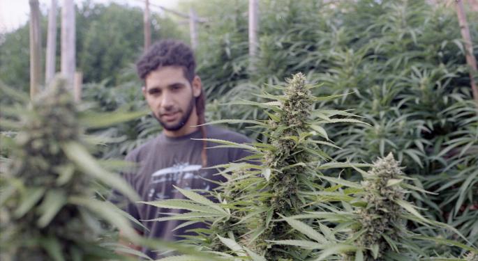 Uruguay Senate Approves New Bill To Regulate Access To Medical Cannabis