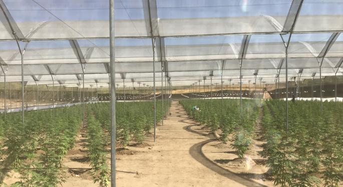 But, Which Spectrum? What You Need To Know About Hemp And Its Chemical Compounds
