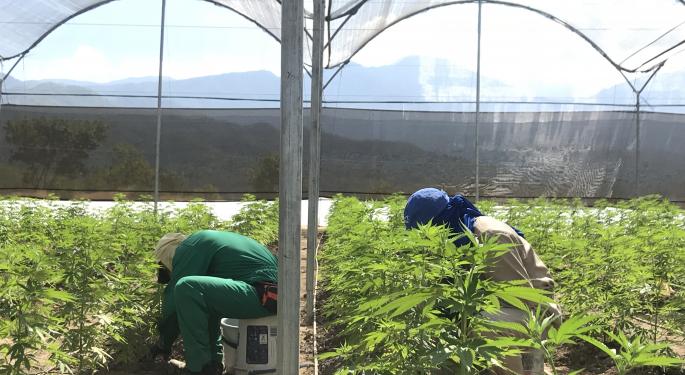 A California Police Chief And Green Flower Collaborate On Cannabis Education Course For Law Enforcement