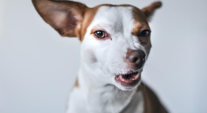 Floki Inu Says It Will Continue The Battle As UK Strikes Down Ad Gunning At Dogecoin