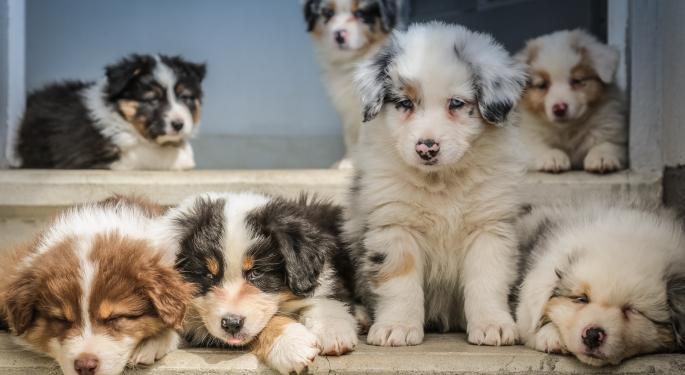 Dogecoin Slumps In Crypto Crash But These Minor Knock-Offs Are Striking Gains