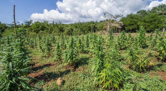 Headset, Marijuana Business Daily Announce Data Partnership