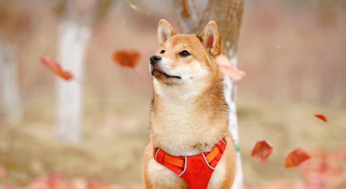 This CEO Explains How Shiba Inu Can Reach $0.01 'Through Entertainment'