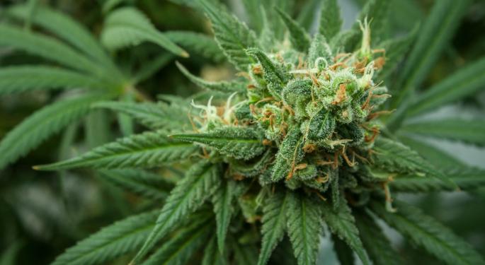 This Cannabis REIT Stock Outperformed Nvidia, Amazon, Square And Pfizer