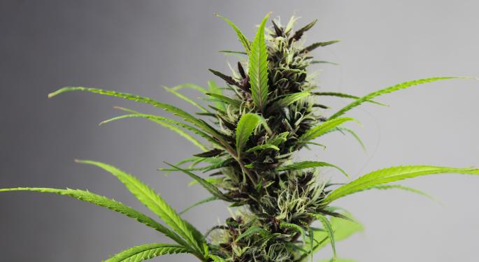 Connected Cannabis Raises $30M In Round Led By Navy Capital, One Tower Group; Plans National Expansion