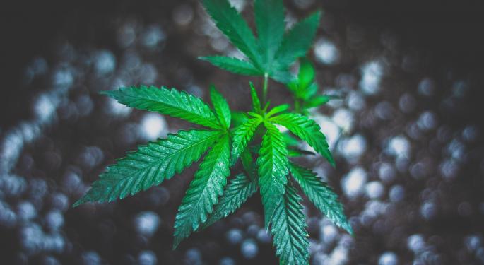 Leafly Scores Legal Cannabis Markets On Social Justice And Cannabis Equity, Most States Fared Poorly