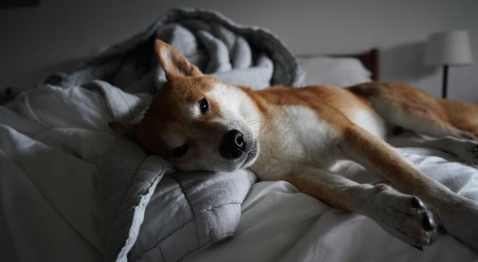 Doge Day Ends With A Whimper Instead Of A Howl As Dogecoin Shrinks Over 20%