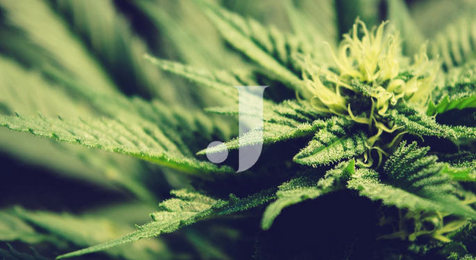 Jushi Touts 67% Revenue Increase On Heels Of Pennsylvania Expansion