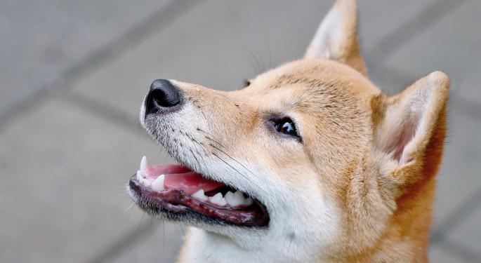 Guggenheim CIO Scott Minerd Regrets Not Investing In Shiba Inu: 'I Wish I'd Invested $100,000'