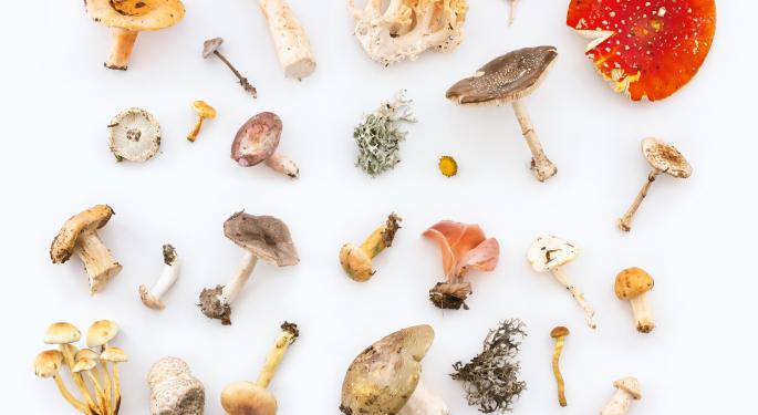 Mushroom Company Levitee Labs To Go Public With An Aggressive M&A Strategy Into Psychedelics